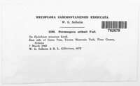 Image Associated With the Occurence